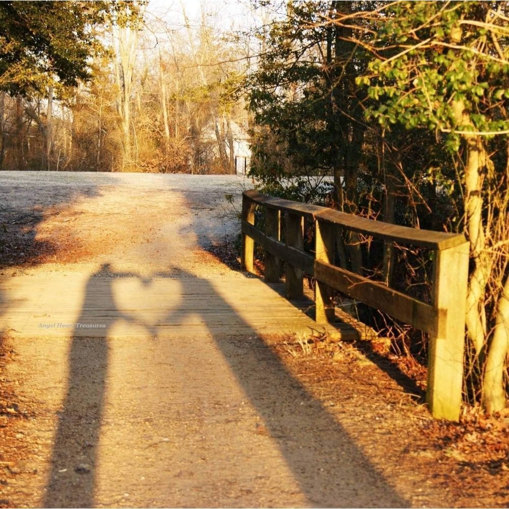 8x10 Original Photography Bridge Couple Silhouette